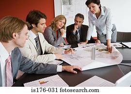Businesspeople looking at plans