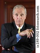 Portrait of a senior businessman