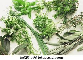 Variety of herbs