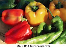 Variety of peppers