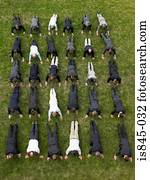 Businessmen exercising