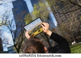 女, 中に, 都市 公園, ∥見る∥, デジタルﾀﾌﾞﾚｯﾄ, スクリーン