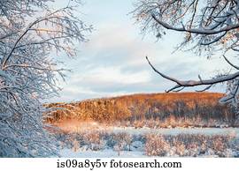 Wintry landscape scene