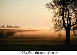 Mist over pastures at sunrise