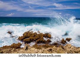 Waves crashing over rocks, Palm Beach, Oranjestad, Aruba
