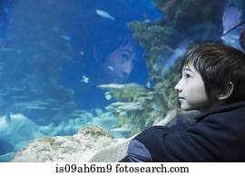 Boy admiring sea life in aquarium