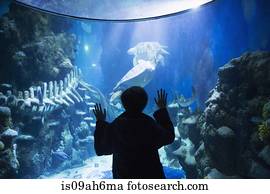 Boy admiring sea life in aquarium