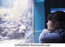 Girl admiring sea life in aquarium