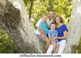 Family of four on branch of tree