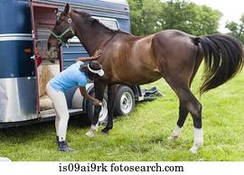 cavaleiro, aparência, cavalo