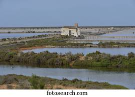 Ses Salines saltworks, near Sant Francesc d'Estany, Ibiza, Balearic Islands, Spain, Europe