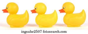 Ducks Stock Images | Our Top 1000+ Ducks Photos Page 5 | Fotosearch
