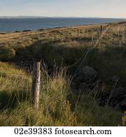 Landscape, pastureland along coastline, with wire fence and gully