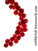 Cranberries on white background