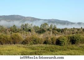 Low cloud over siberian landscape