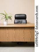 Office desk with pot plant