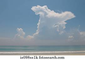 tranqüilo, cena praia