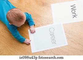 bebê, papeis, dizendo, trabalho, e, carreira