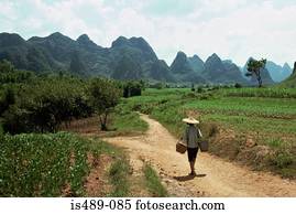 cultive trabalhador, em, china