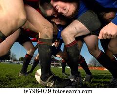 jogadores rúgbi, em, um, scrum