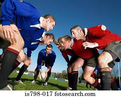 jogadores rúgbi, em, um, scrum