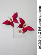 fraude, borboletas, ligado, um, lightswitch