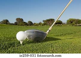 bola golfe taco golfe