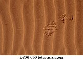 Footprint in the sand