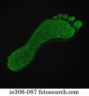 Grassy footprint