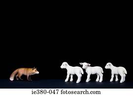 brinquedo, caça raposa, cordeiros