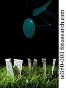 Money growing from a lawn