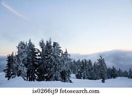 Sunset on a winter scene