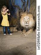 Girl photographing a stuffed lion