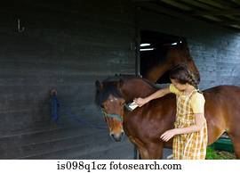 um, menina, aparência, um, cavalo