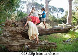 Children climbing over tree trunk