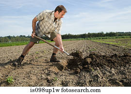 Mid adult man digging in field