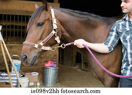 Young man with horse