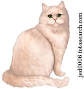 cat cat