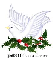 dove and holly dove and holly