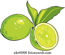 sliced lime sliced lime