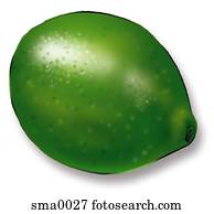 lime