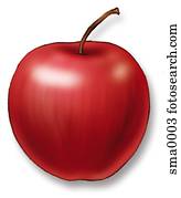 shiny red apple