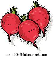 שלושה, צנונים