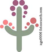 cacto