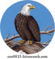 An illustration of an eagle standing on the edge of a nest
