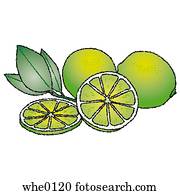 Lime