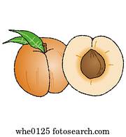 Peach Peach