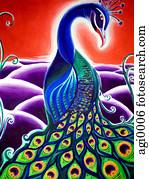 Peacock Peacock