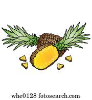 Pineapple Pineapple