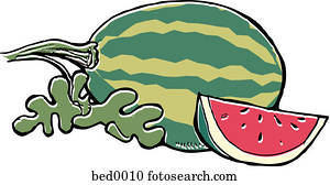 Watermelon Watermelon